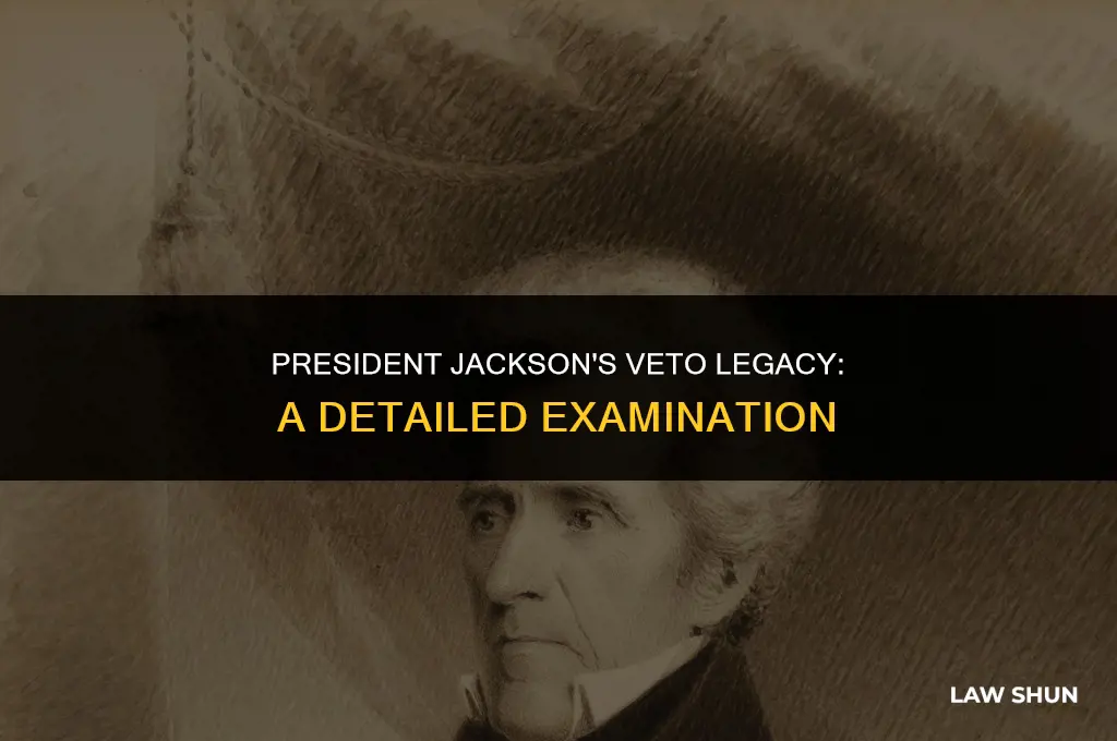 how many laws did jackson veto