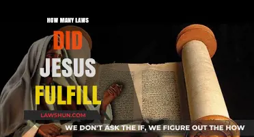 Unraveling the Prophetic Puzzle: Jesus and the Fulfillment of Laws