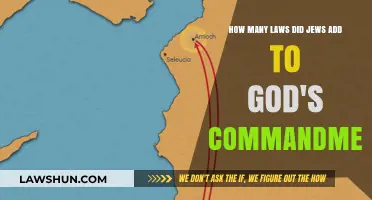 Unraveling the Expansion: Jewish Laws Beyond God's Original Commandments