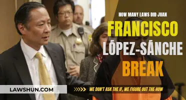 A Lawless Spree: Juan Francisco López-Sánchez's Criminal Acts