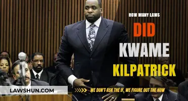Unraveling the Legal Saga: Kwame Kilpatrick's Convictions Explained