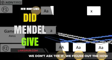 Unraveling Mendel's Legacy: The Fundamental Laws of Genetics Explained
