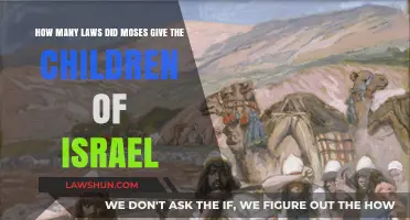 Moses' Laws: Unraveling the Count Given to Israel's Children