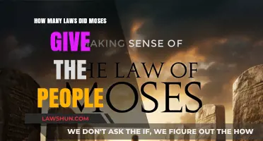 Moses' Legacy: Unraveling the Count of Laws He Delivered