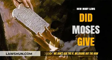 Unraveling the Mosaic: A Deep Dive into Moses' Laws