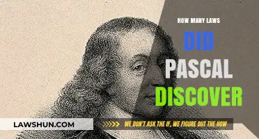 Unveiling Pascal's Legacy: A Journey Through His Mathematical Discoveries