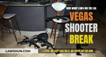 The Las Vegas Shooter: A Breach of Multiple Laws