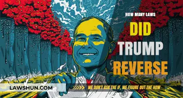 Undoing Obama's Legacy: A Comprehensive Look at Trump's Regulatory Rollbacks