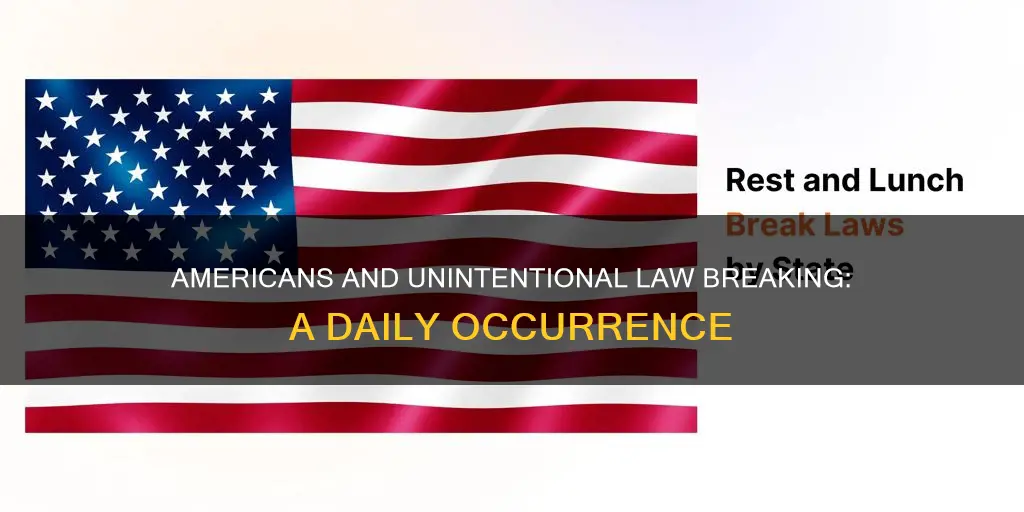 how many laws do americans break every day unintentionally