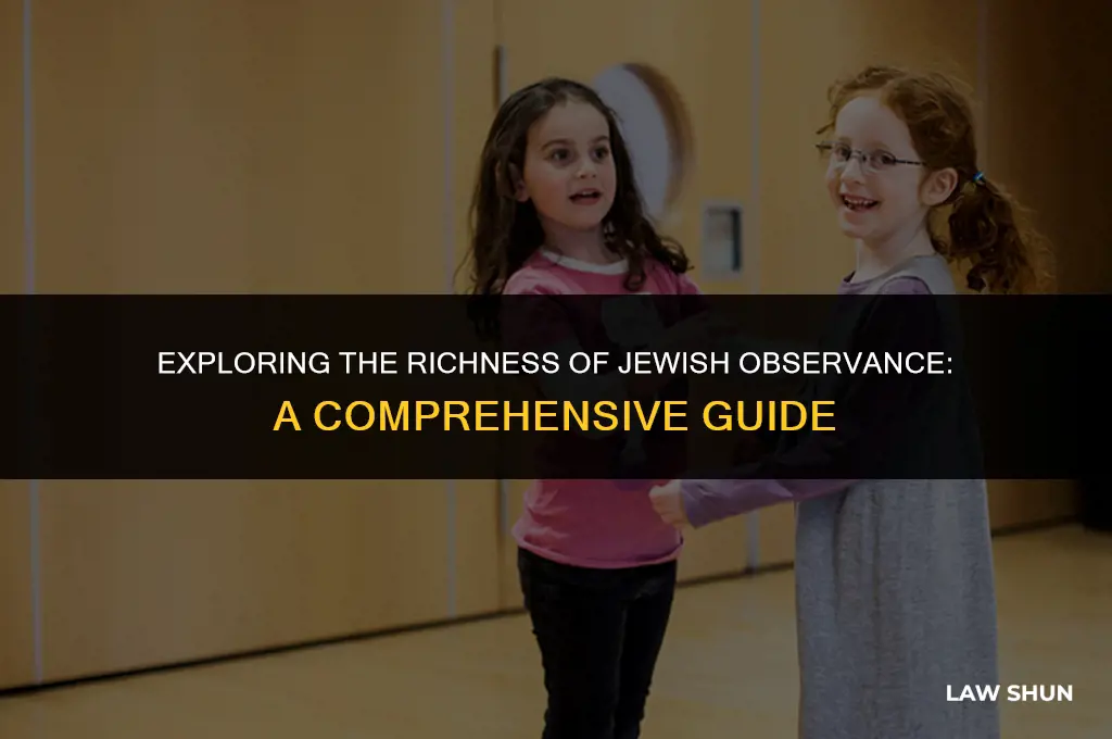 how many laws do jews observe