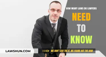 Mastering Legal Knowledge: How Many Laws Must Lawyers Truly Know?