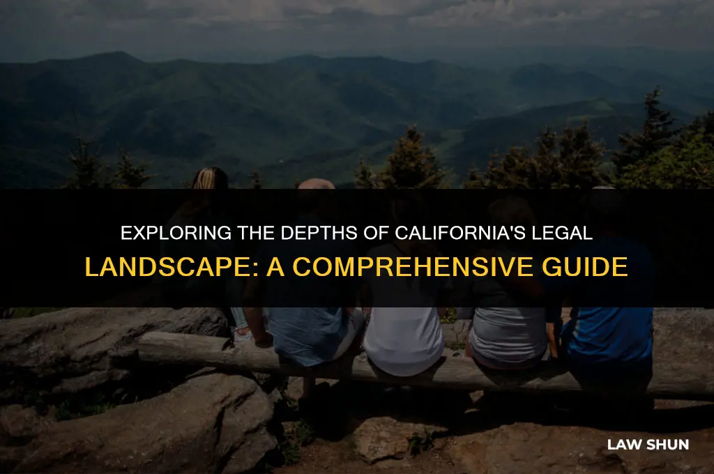 how many laws does californai have