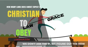 Christ's Expectations: Understanding the Laws Christians Are Called to Obey