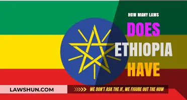 Exploring Ethiopia's Legal Landscape: A Comprehensive Overview