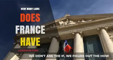 Exploring the Complexity of French Legislation: A Comprehensive Overview