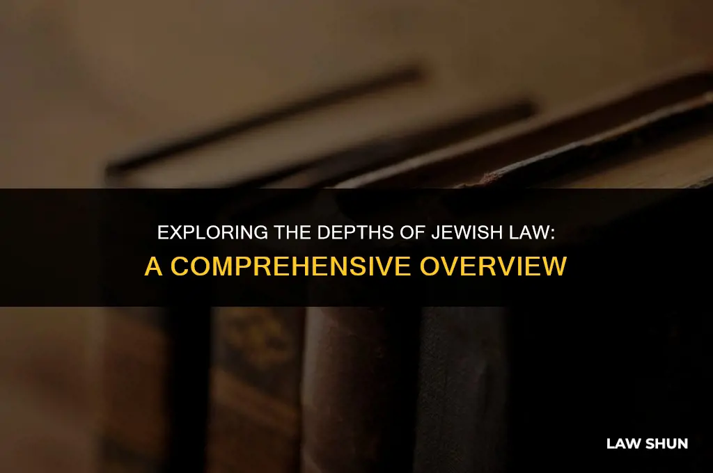 how many laws does jewish have