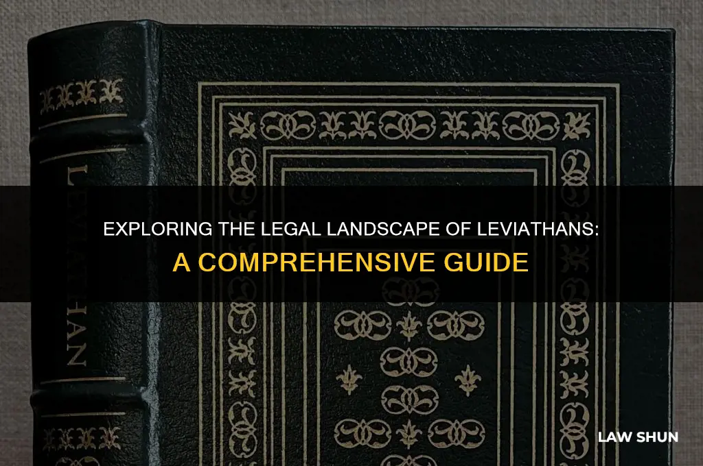 how many laws does leeviathan have