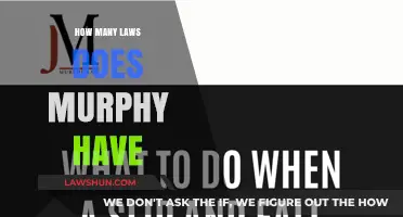 Exploring Murphy's Laws: A Comprehensive Guide to Life's Unwritten Rules