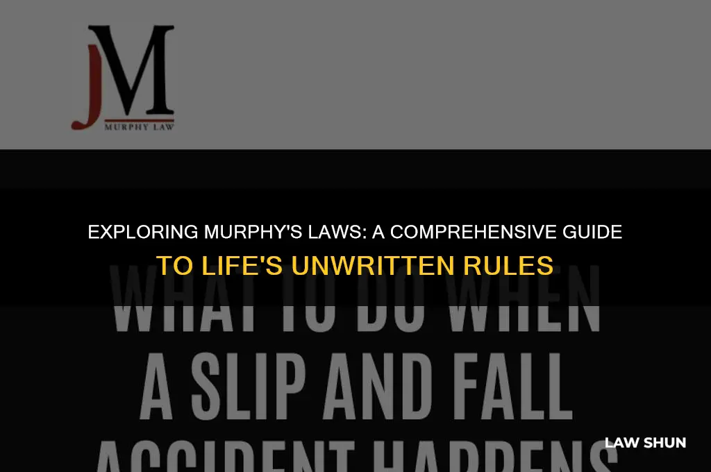 how many laws does murphy have