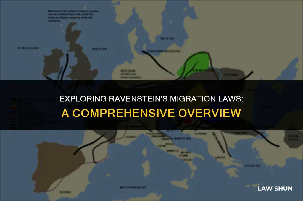 how many laws does ravenstein have
