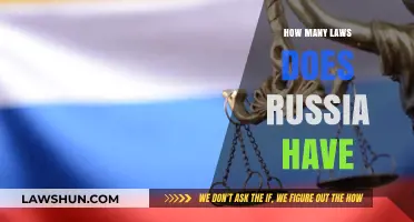 Exploring the Complexity of Russia's Legal Framework: A Comprehensive Overview