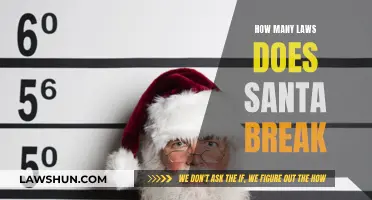 Santa's Naughty List: Breaking Laws, Delivering Gifts