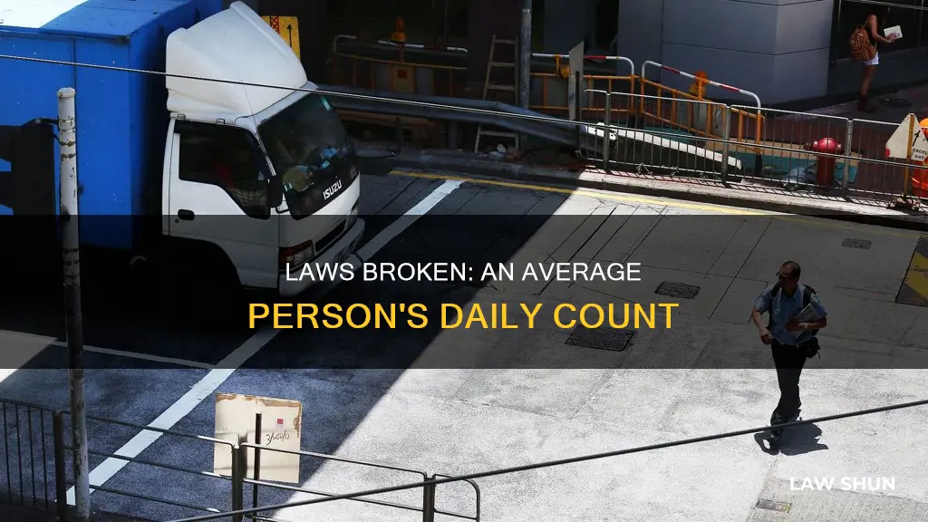 how many laws does the average person break a day