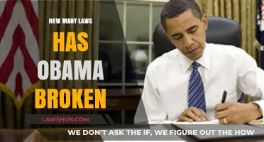 Examining the Controversies: Allegations of Obama's Legal Oversteps