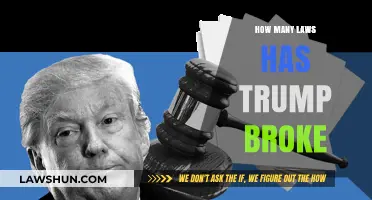 Examining the Controversies: Allegations of Legal Infractions During Trump's Tenure
