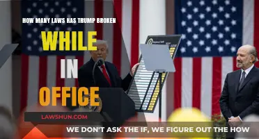 Trump's Legal Controversies: Alleged Violations During His Presidency