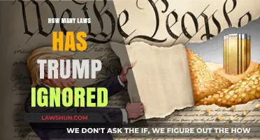 Examining the Scope of Trump's Disregard for Legal Precedents