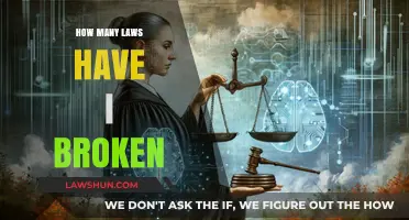 Legal Quandaries: A Deep Dive into My Unintentional Infractions