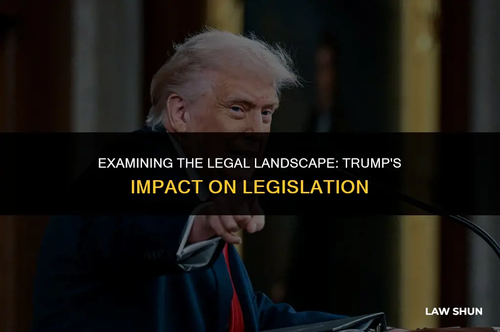 how many laws have trump brooke