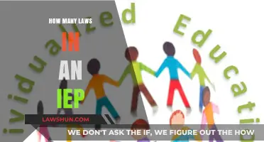 Understanding IEPs: A Guide to the Legal Framework Protecting Students with Disabilities