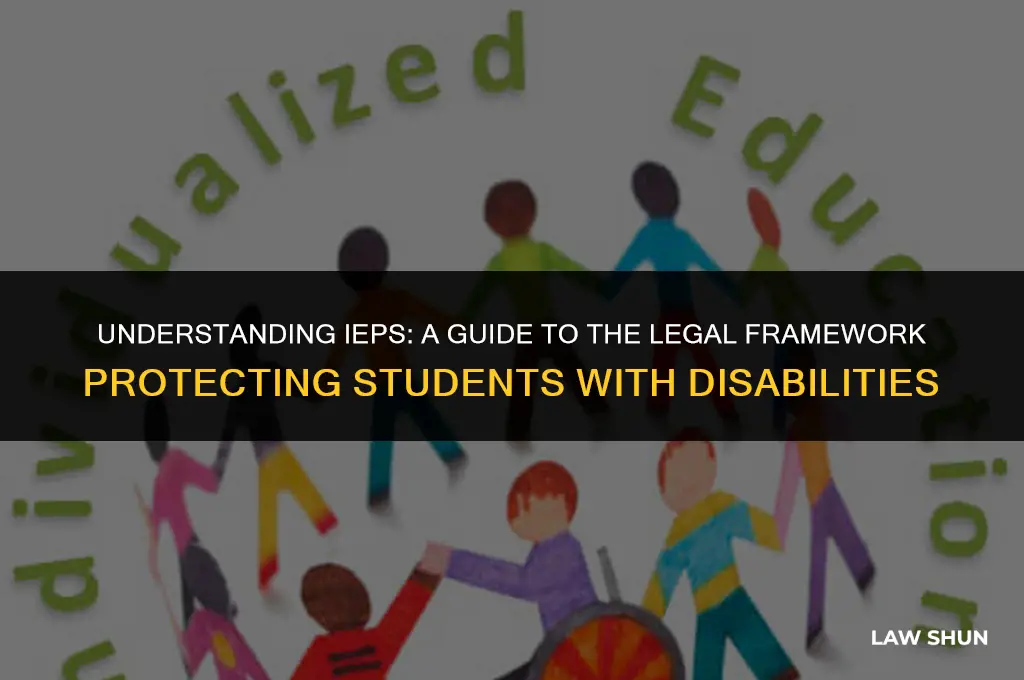 how many laws in an iep