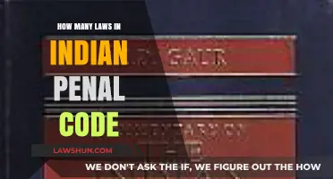Understanding the Vast Number of Laws in India's Penal Code