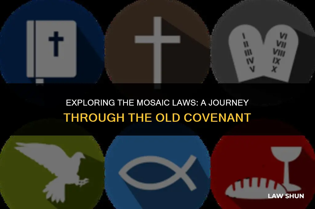 how many laws in old covenant