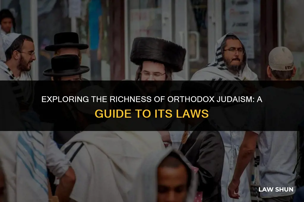 how many laws in orthodox judaism