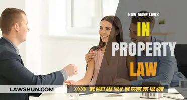 Understanding the Vast Scope of Property Law: How Many Laws Exist?