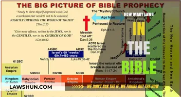 Exploring the Depths: A Comprehensive Guide to Biblical Laws