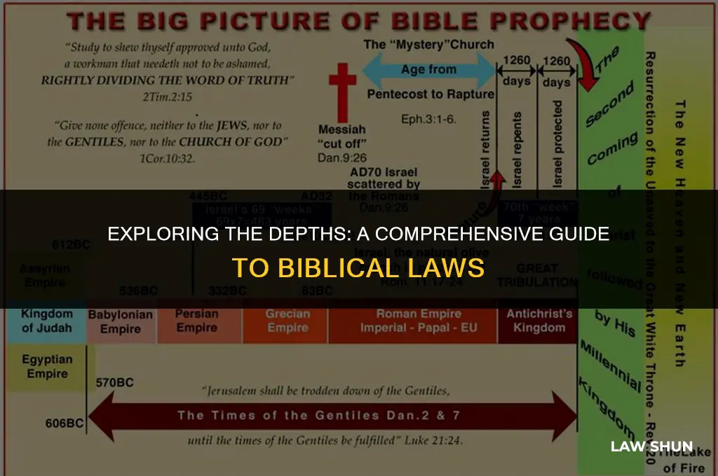 how many laws in the bible