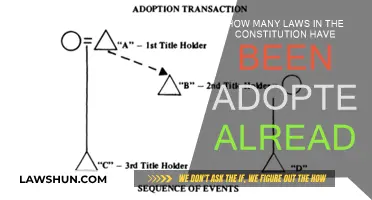 Constitution Laws: How Many Are Already Adopted?