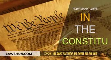 Exploring the Many Laws Within Our Constitution