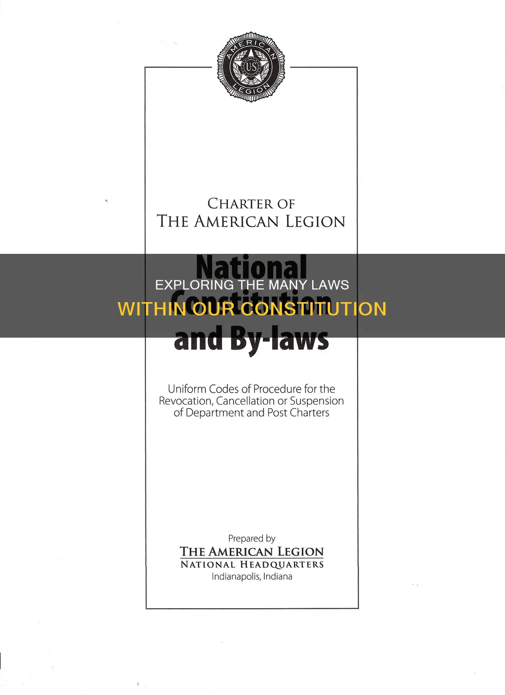 how many laws in the constitution
