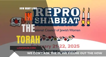 Exploring the Depths: A Comprehensive Guide to Torah Laws