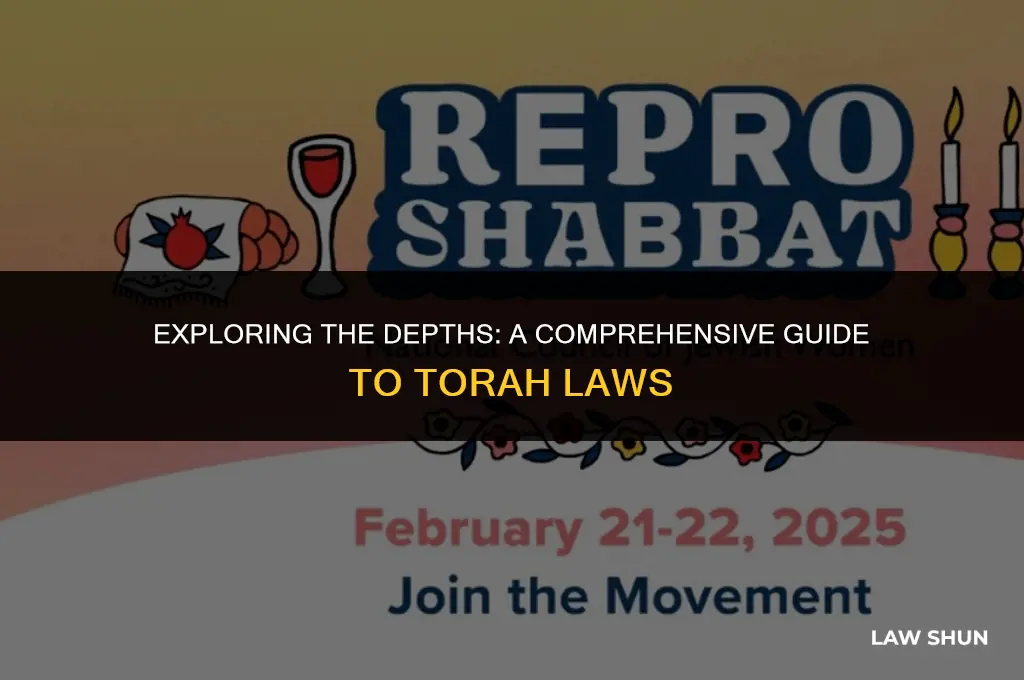 how many laws in the torah