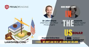Understanding the Complexity: A Guide to U.S. Legislation