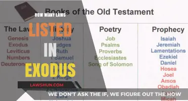 Unveiling the Ancient Commandments: A Deep Dive into Exodus Laws