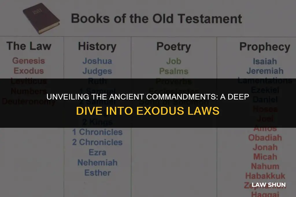 how many laws listed in exodus
