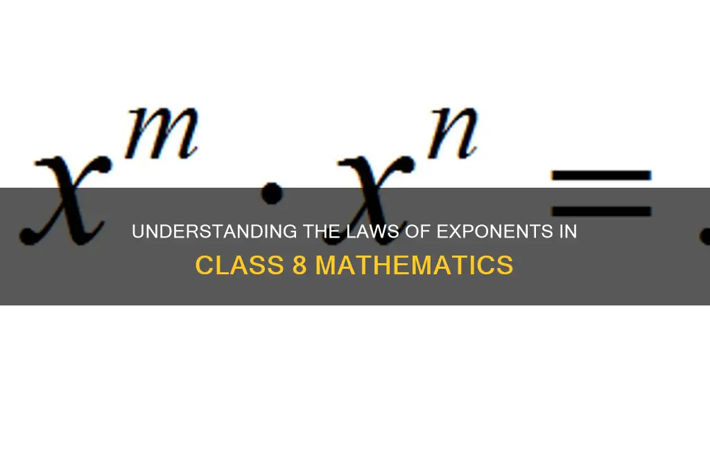 how many laws of exponents are there in class 8